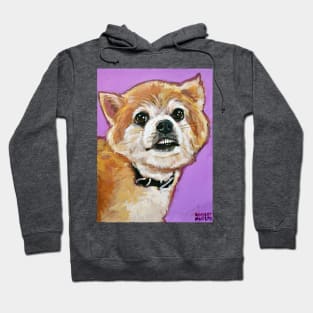 Pogo the Pomeranian Hoodie